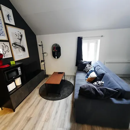 Le Perdrix : 2 Prs, Proche Gare Et Darcy Apartment