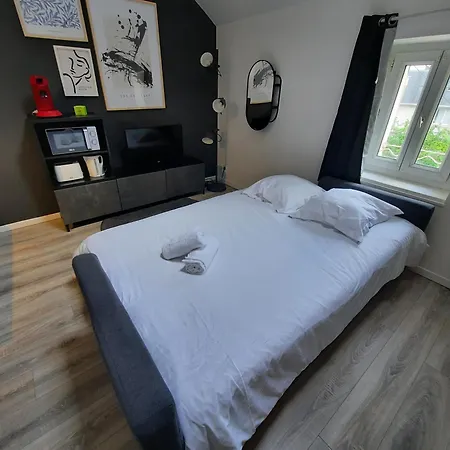 Appartement Le Perdrix : 2 Prs, Proche Gare Et Darcy