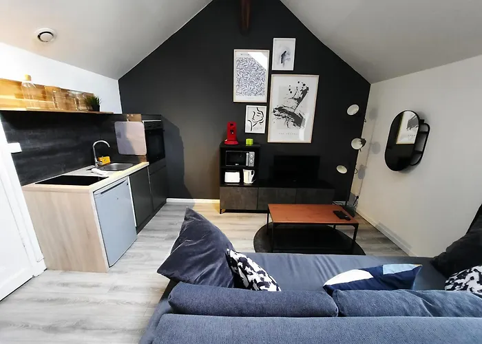 Le Perdrix : 2 Prs, Proche Gare Et Darcy Appartement