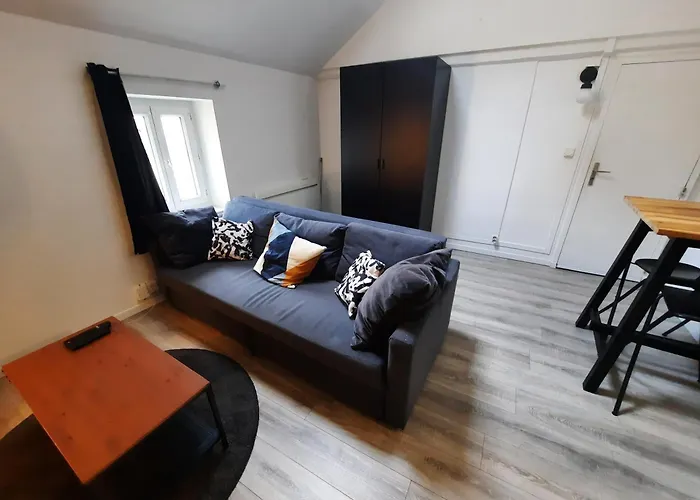 Le Perdrix : 2 Prs, Proche Gare Et Darcy * דיז'ון